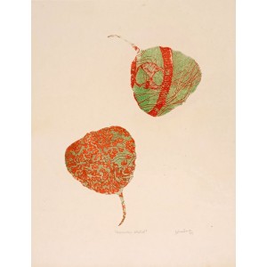 Sohaina Elia, 12 x 16 Inch, Intaglio Print, AC-SOEL-011